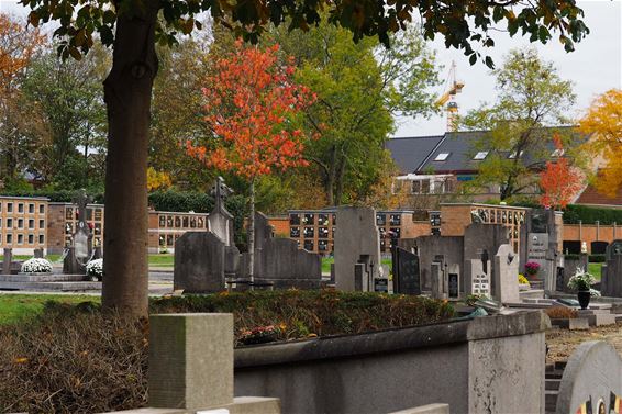 Kerkhoven in herfstmodus - Beringen