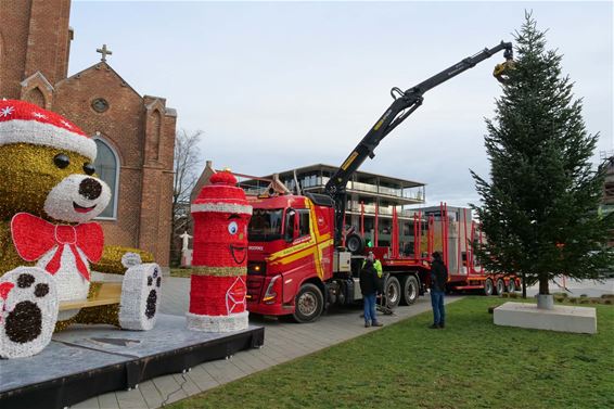 Kerstboom op de markt geplaatst - Beringen