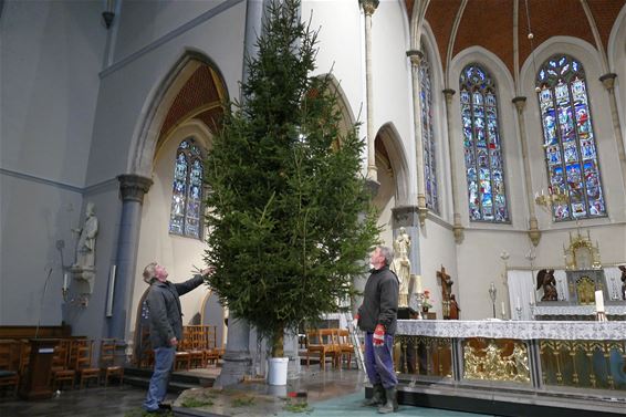 Kerstboom van 7 meter in de Lilse kerk - Neerpelt