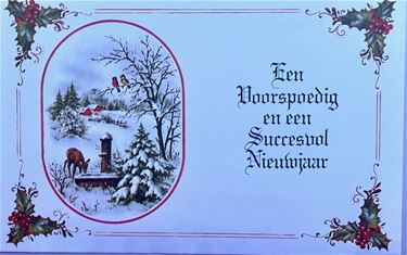 Kerst- of nieuwjaarskaartjes - Beringen & Leopoldsburg