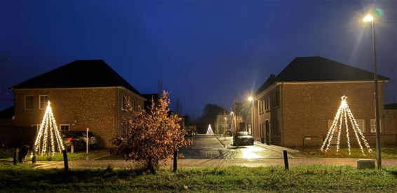Pelt - Kerstverlichting brengt sfeer in Ter Biest