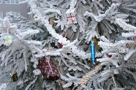 Kerstviering voor een goed doel - Lommel