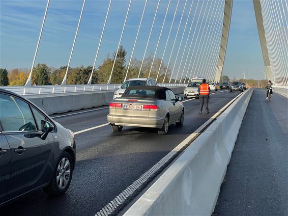 Kettingbotsing op brug zorgt voor zeer lange files - Beringen