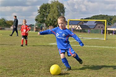 KFC Paal-Tervant goes lockdown - Beringen