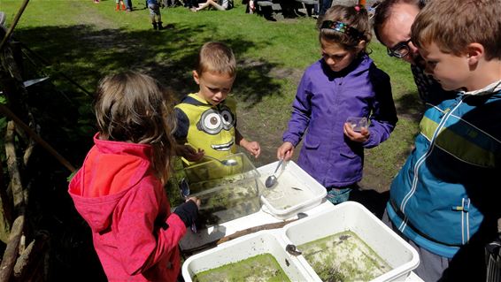 Kids ontdekken kriebeldiertjes - Lommel