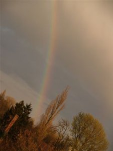 Kijk, een regenboog - Neerpelt