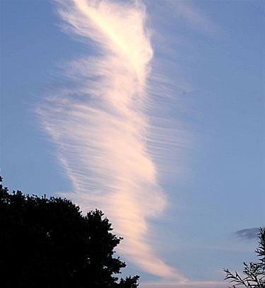 Kijk eens omhoog: een vederwolk - Hamont-Achel