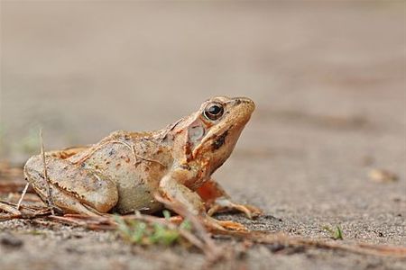 Kijk uit bij het rijden - Lommel