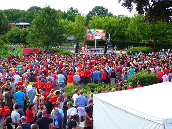 Kijken naar de match op groot scherm - Peer