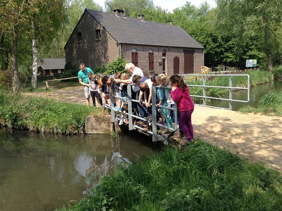 Kijken naar leven in het water - Lommel