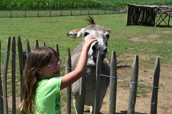 Kinderboerderij De Merelhoeve - Beringen