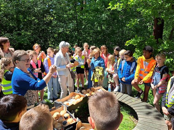 Kinderen De Vlieger hebben nu eigen urnenveldje - Bocholt