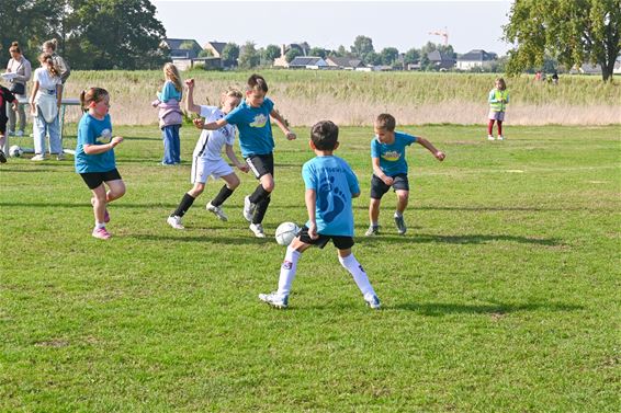Kinderen genieten van 4-tegen-4 voetbaltornooi - Lommel
