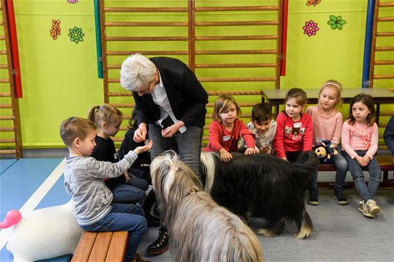 Kinderen leren omgaan met honden - Beringen