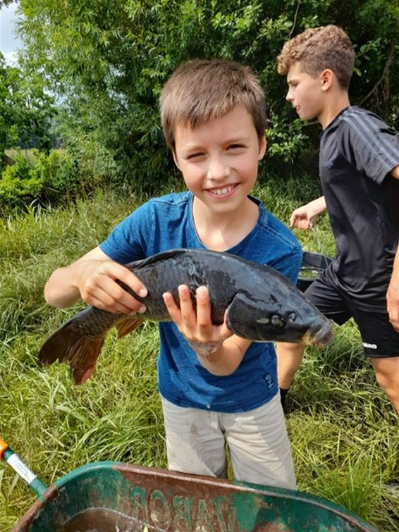 Kinderen redden vissen uit wachtbekkken - Pelt