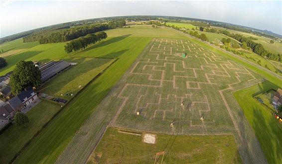 Klaar voor de maïsdoolhoftocht? - Peer