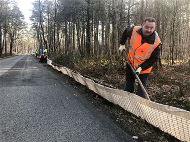 Klaar voor de paddenoverzet - Beringen