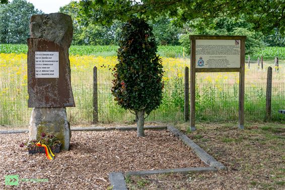 Klaproos op mural herinnert aan dramatische nacht - Oudsbergen