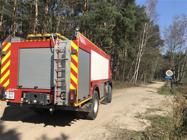 Kleine heidebrand - Beringen & Leopoldsburg