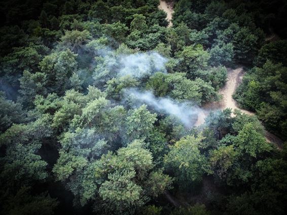 Pelt - Kleine drone helpt grote bosbrand voorkomen