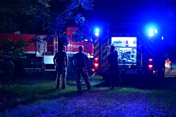 Kleine bosbrand in Koersel - Beringen