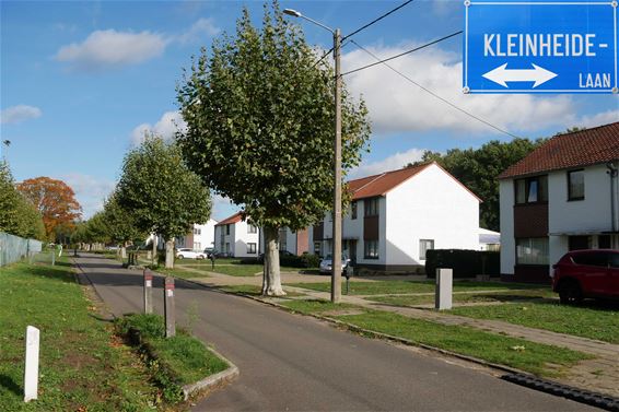 Kleinheidelaan - Beringen