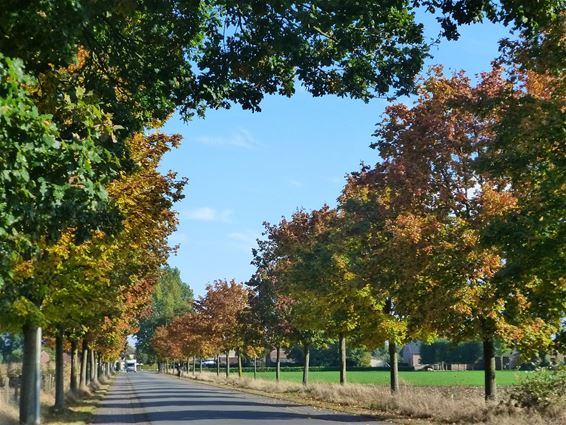 Kleurenpracht aan de Dijk - Hamont-Achel