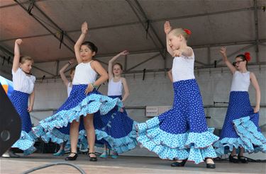 Kleurrijke Galerijfeesten in Beringen-Mijn - Beringen