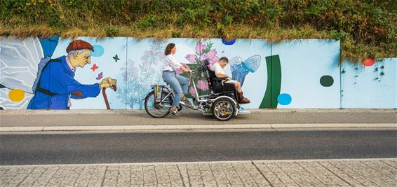 Kleurrijke muurschilderingen als blikvanger - Oudsbergen