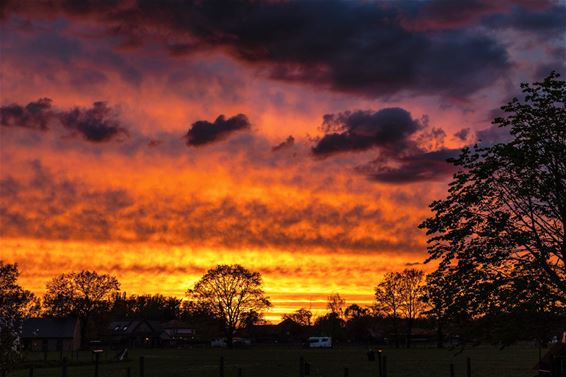 Kleurrijke zonsondergang - Pelt