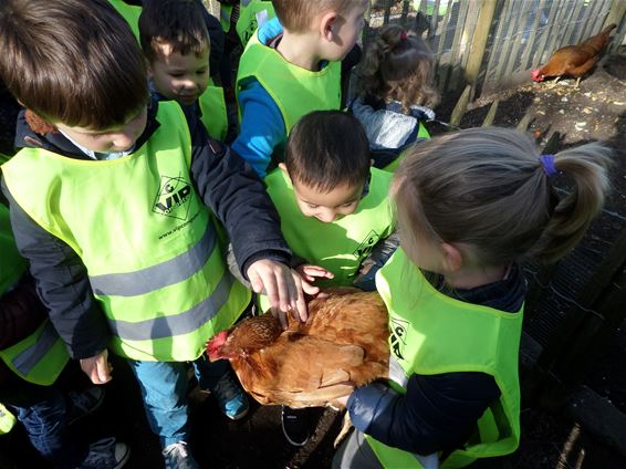 Kleuters spelen dierenarts - Overpelt