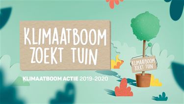 'Klimaatboom zoekt tuin'