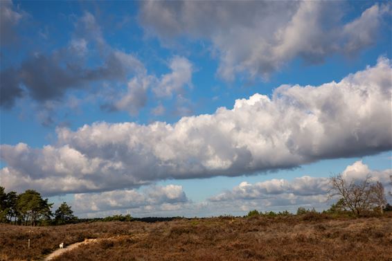 Knappe luchten boven Blekerheide - Lommel