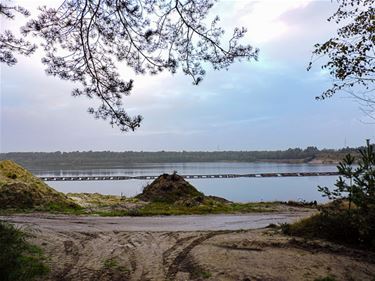 Knappe 'covid'-wandeling in Kattenbos - Lommel