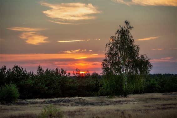 Knappe zonsondergang in Werkplaatsen - Lommel