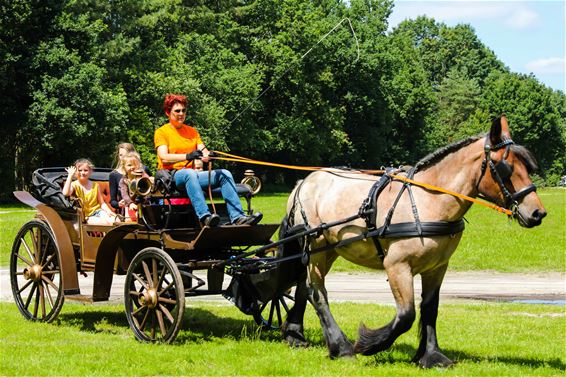 Koetstochten aan Koersels Kapelleke - Beringen