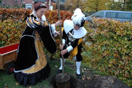 Koningsboom geplant in SHLille - Neerpelt