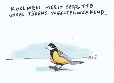 Koolmees meest gespotte vogel