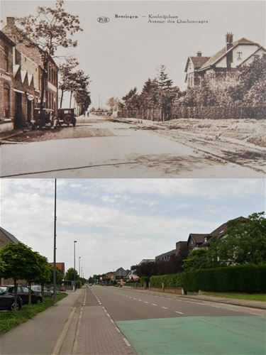 Koolmijnlaan Beringen - Beringen