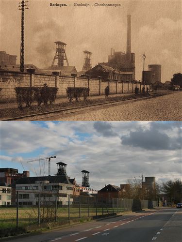 Koolmijnlaan - Houtpark - Beringen