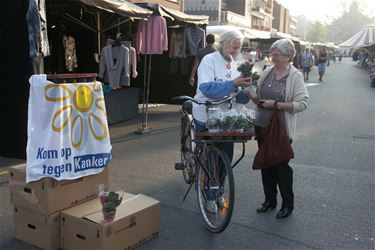 Koop een plantje voor 'Kom op tegen kanker' - Beringen