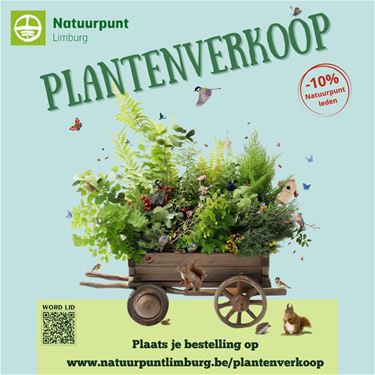 Koop voordelig planten en geef je tuin een boost - Bree