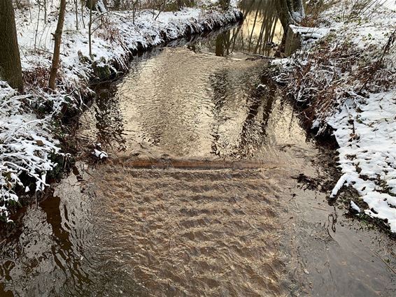 Koud bij de Warmbeek - Hamont-Achel