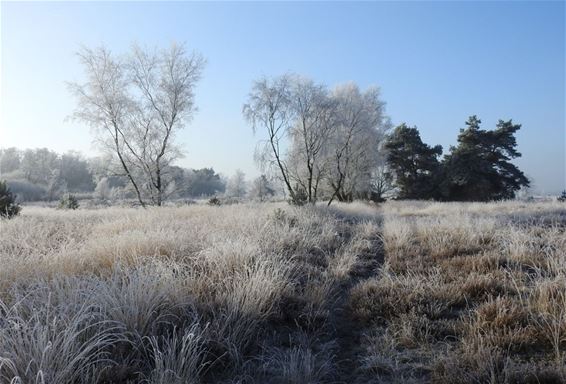 Koud in 't Hageven - Neerpelt