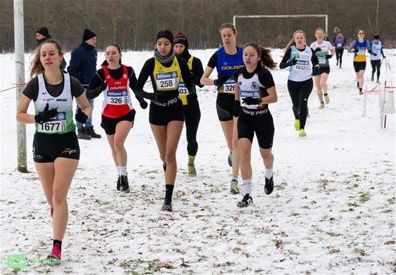 Koude wind en zware duinen op PK veldlopen - Hechtel-Eksel