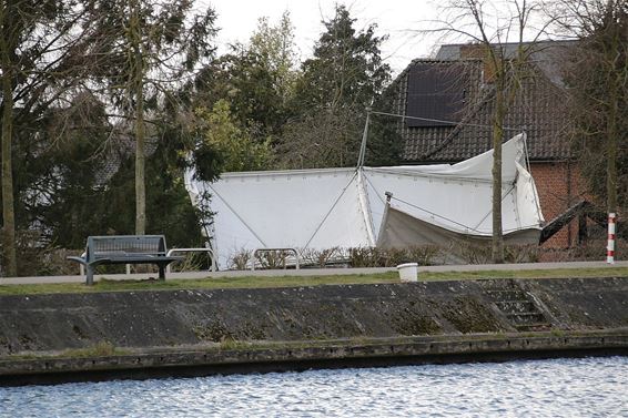 Koude wind vandaag - Pelt