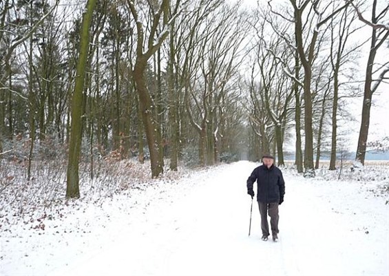 Kranige Mathieu wandelt graag - Meeuwen-Gruitrode