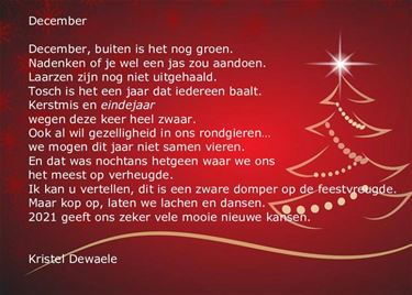 Kristel Dewaele: december - Beringen