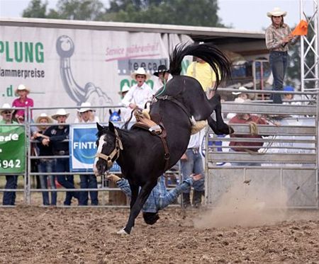 Kritiek op Amerikaanse rodeo - Neerpelt