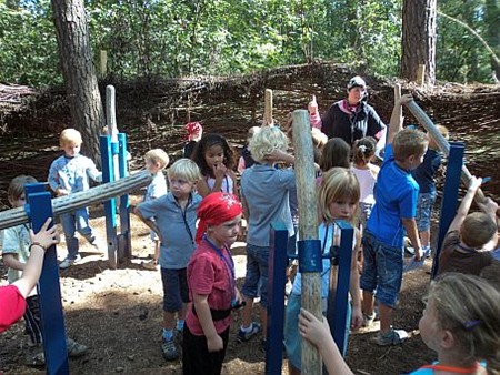 Krokuskriebels in het Klankenbos - Neerpelt